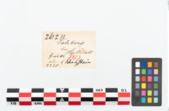 Etikett zu Schleifstein (NHMW-PRAE-026211)
